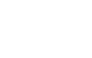 FinAcc